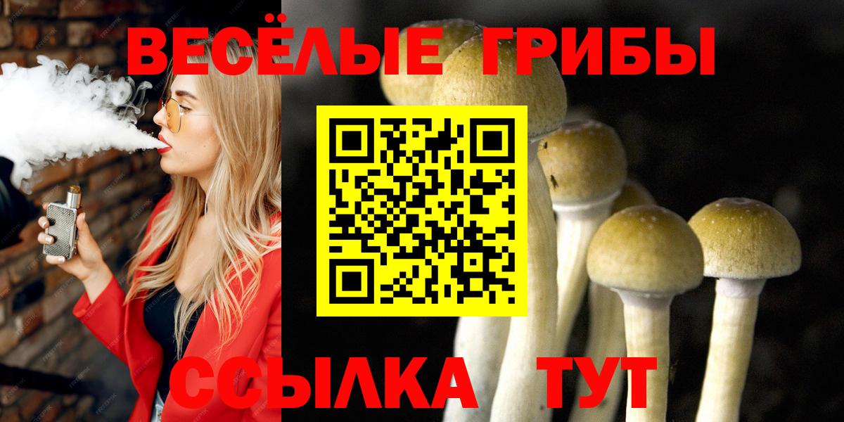 Кашира  Псилоцибиновые грибы ЛСД  Псилоцибиновые грибы Magic Shrooms  Вход с VPN 